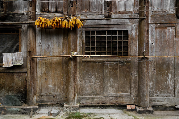Dried Corn Hanging In Chinese Courtyard