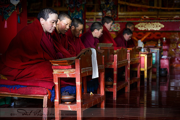 Tibetan Nunnery