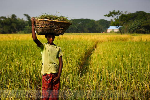 Child Worker